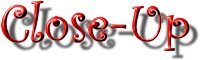 Close-Up.jpg (2809 Byte)